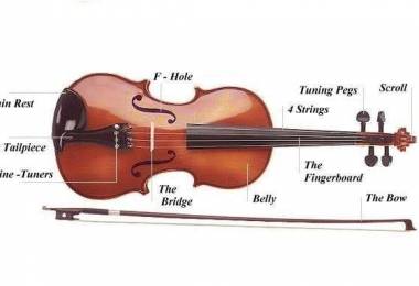 Tìm hiểu về đàn Violin
