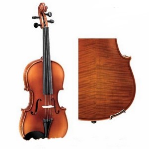 Cấu tạo cơ bản của đàn violin
