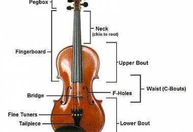 Chọn mua đàn violin cần lưu ý