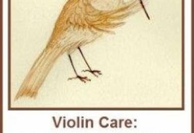 Cách bảo quản violin
