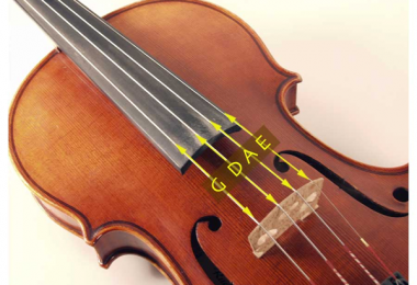 Thay dây violin