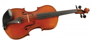 Dạy đàn Violin tại nhà tphcm