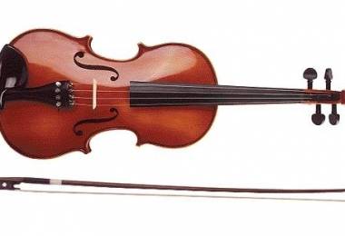 Học Violin tại nhà tphcm