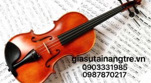 Cách chọn đàn Violin phù hợp từng nhu cầu sử dụng