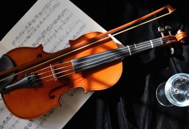 Cần gia sư dạy đàn Violin tại quận 2