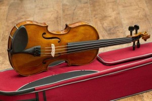 Cần gia sư dạy đàn Violin tại quận Bình Tân