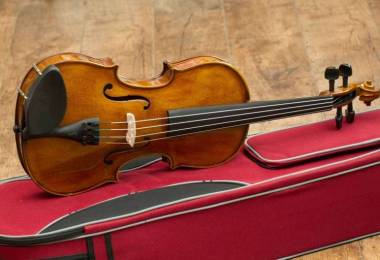 Cần gia sư dạy đàn Violin tại quận Bình Tân