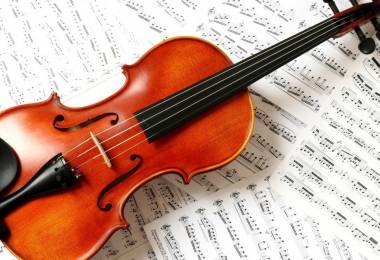 Cần gia sư dạy đàn Violin tại quận Tân Phú